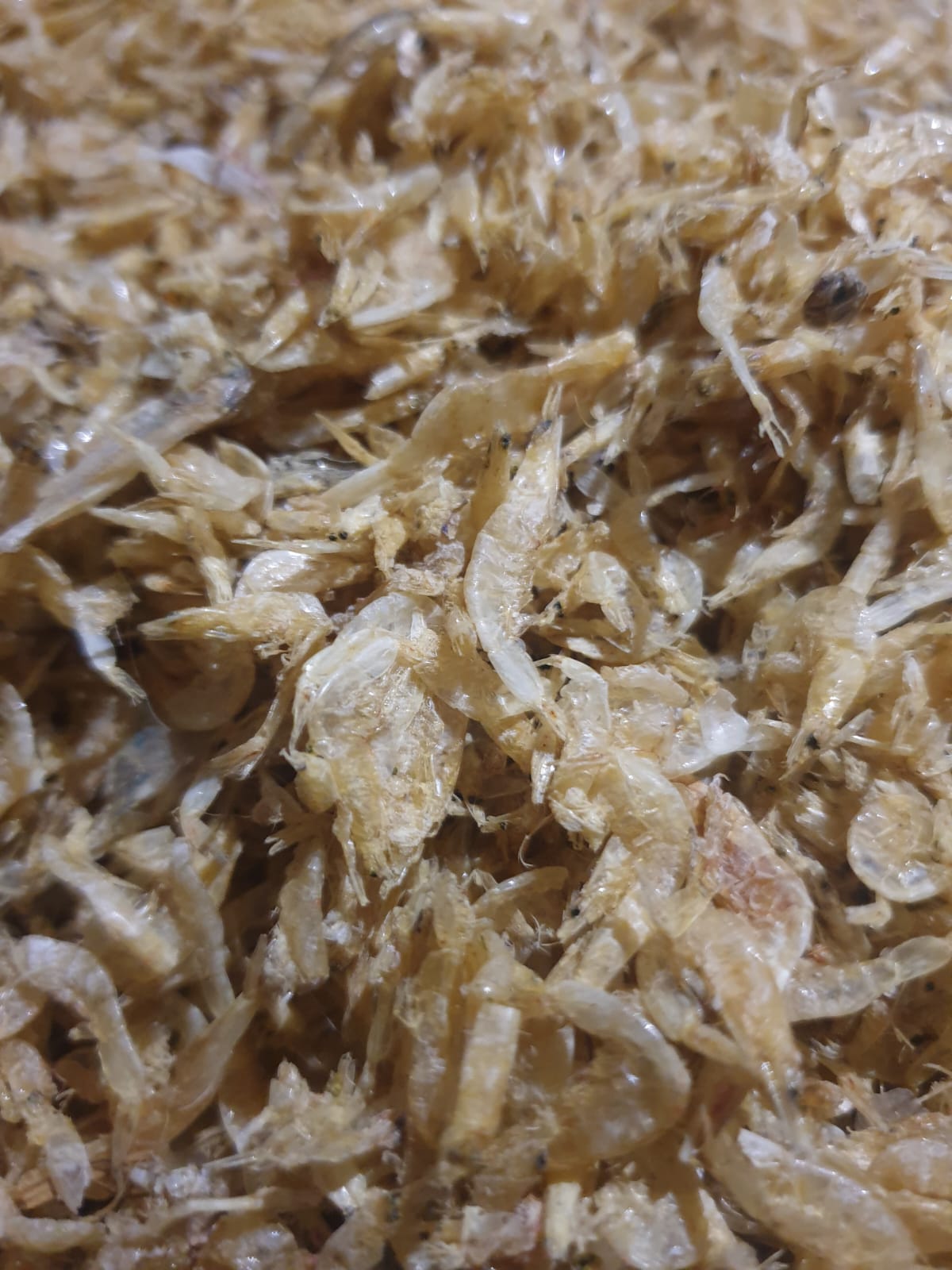 WhatsApp Image 2025-05-22 at 11.52.42 (2)