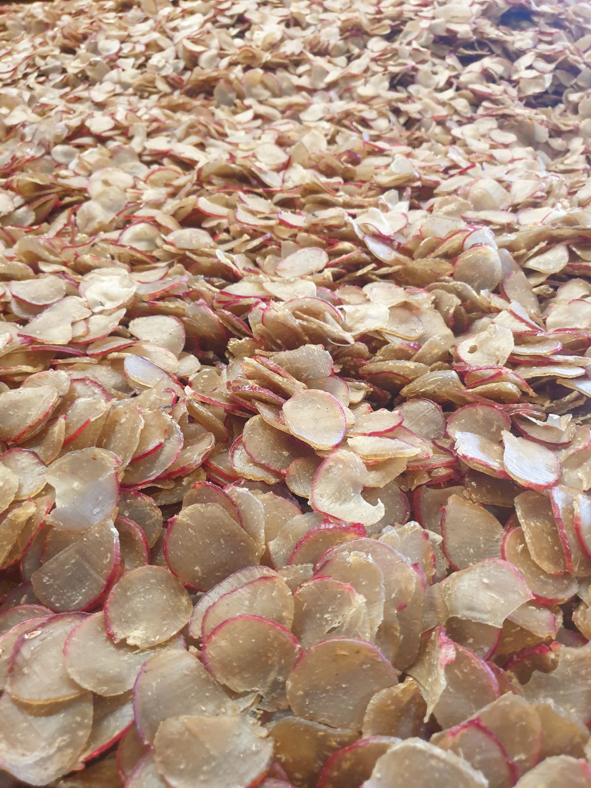 WhatsApp Image 2025-05-22 at 11.52.43